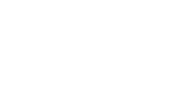 شاه چراغ پارسیان