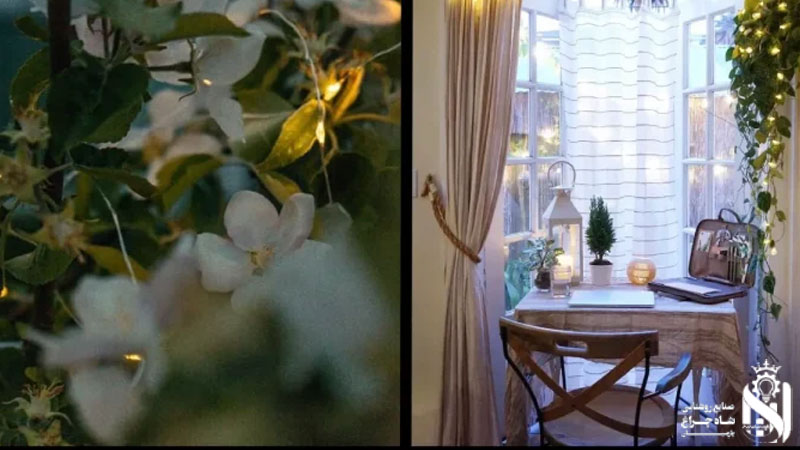 ریسه ال ای دی در میان گیاهان آپارتمانی